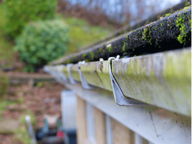 clogged gutters
