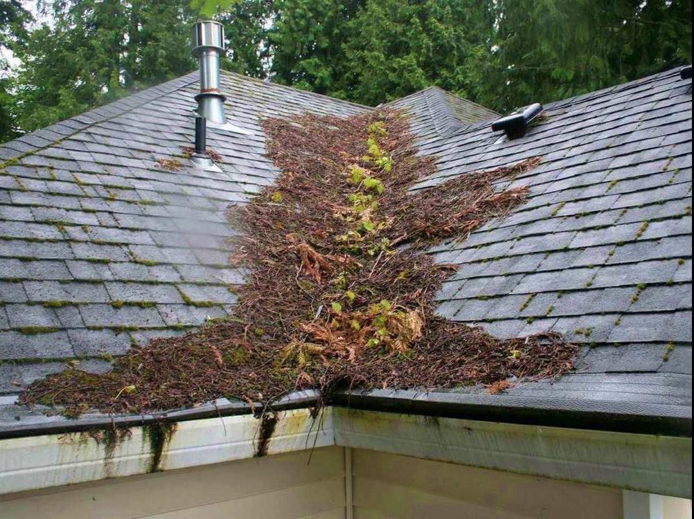 cleaning your roof. Roof valley covered in leaves and sticks. 