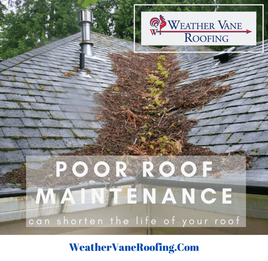 Home Improvement Tips