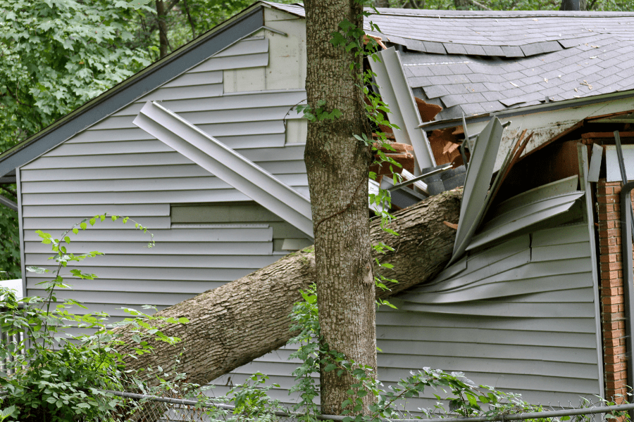 tree damage to roofs showing a large tree that has smashed into the side of a house, through the roof and into the side of the house.