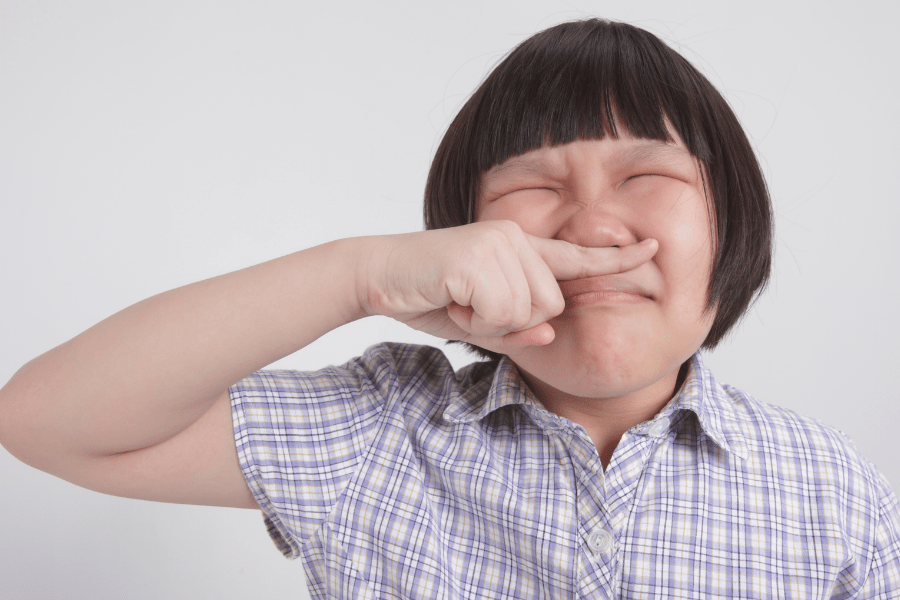 vent pipe problems can make for a stinky situation