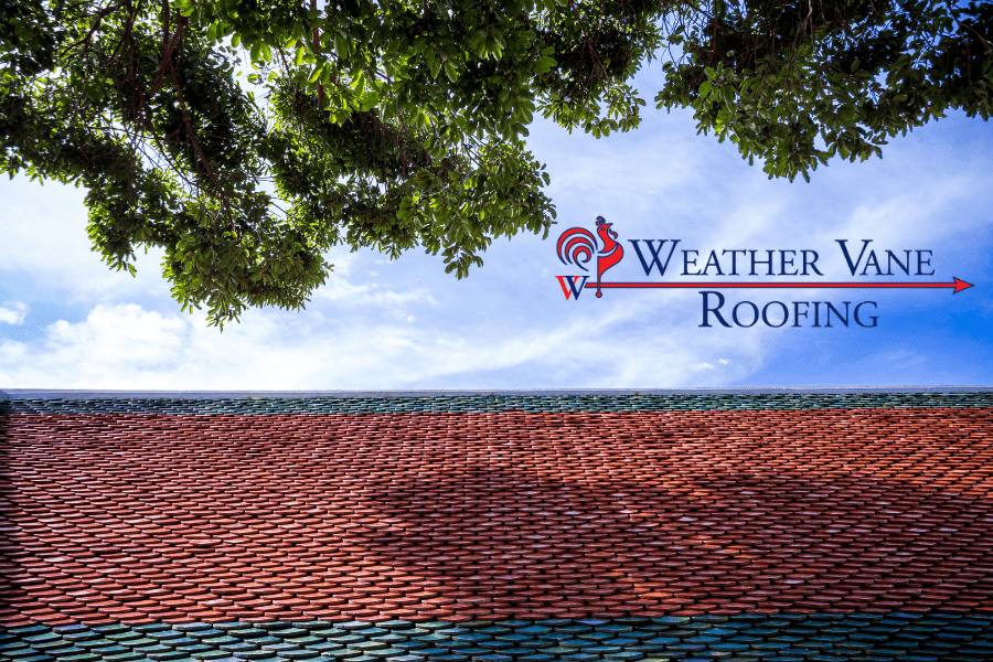 spring cleaning the roof