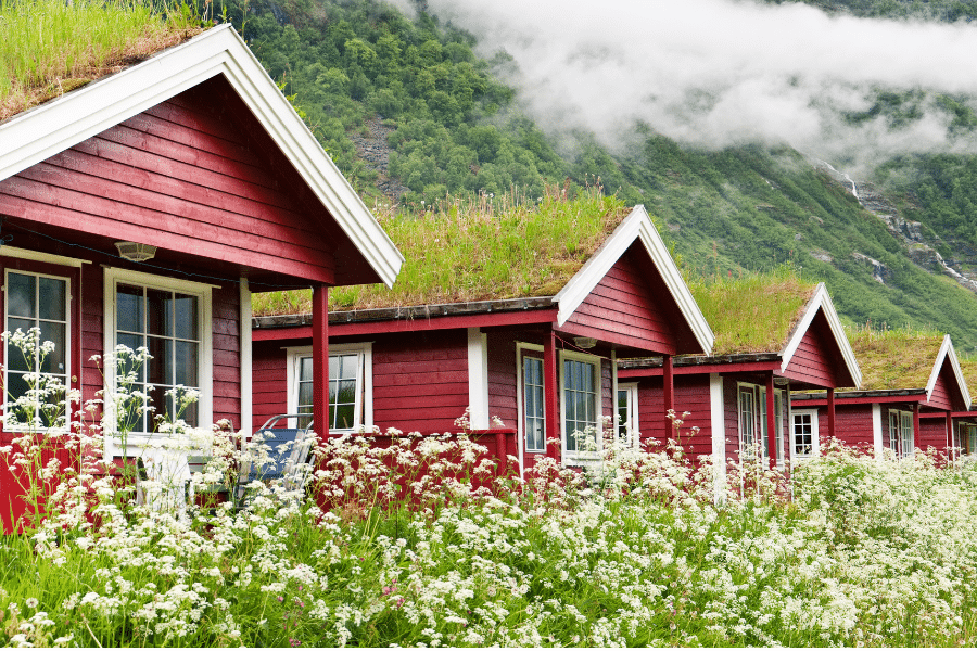 living roof