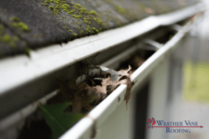 Common issues caused by gutters